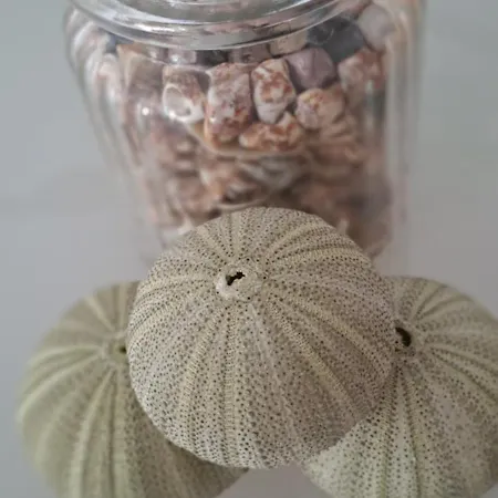 Casa Cristalina. Brisa Del Mar De Con Sus Calas. Mar Y Piscina En Familia. * Jávea