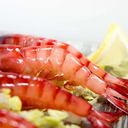 Casa Cristalina. Brisa Del Mar De Con Sus Calas. Mar Y Piscina En Familia. * Jávea